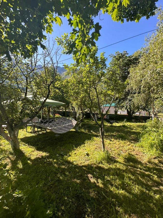 Gio-Nika Hotell Kazbegi Exteriör bild