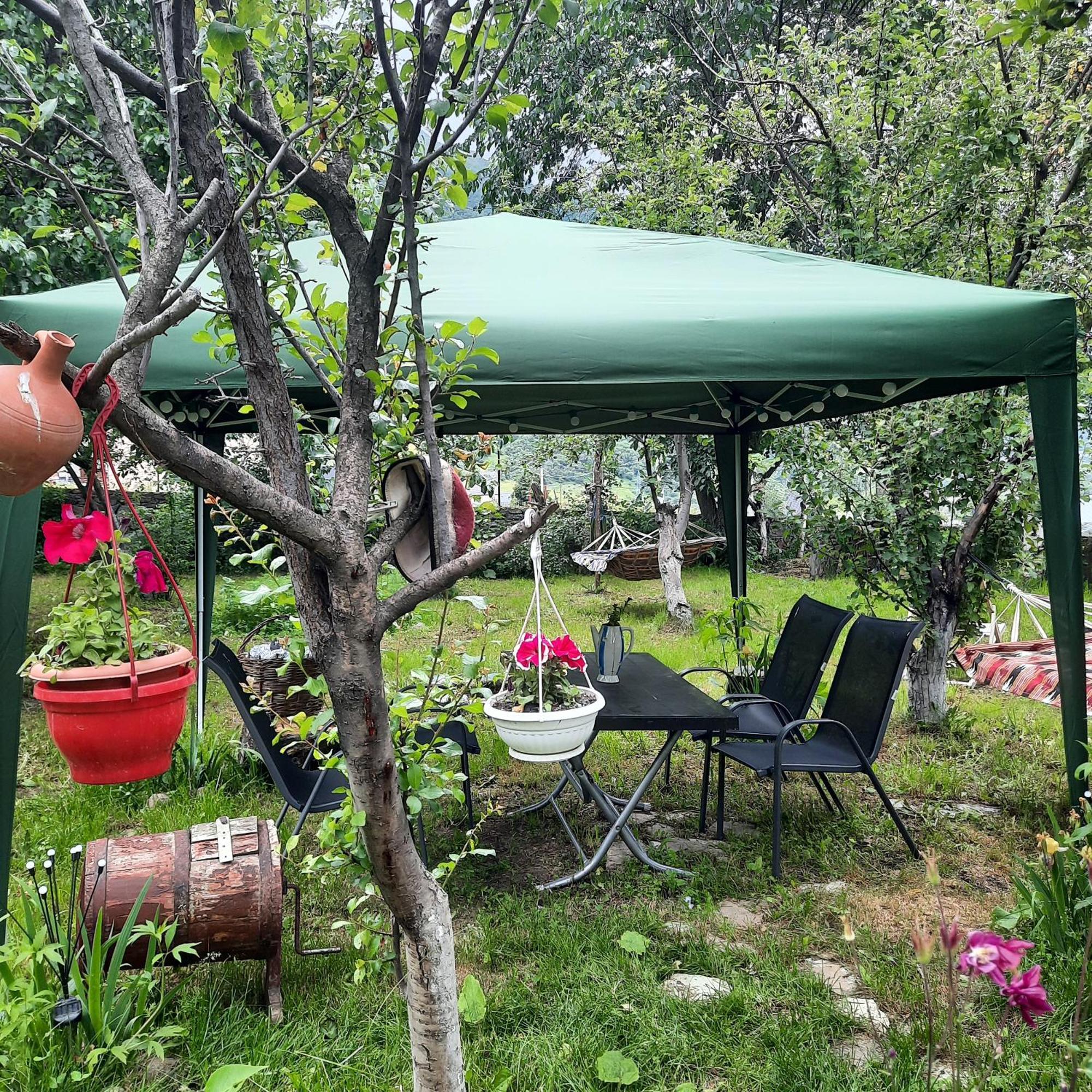 Gio-Nika Hotell Kazbegi Exteriör bild