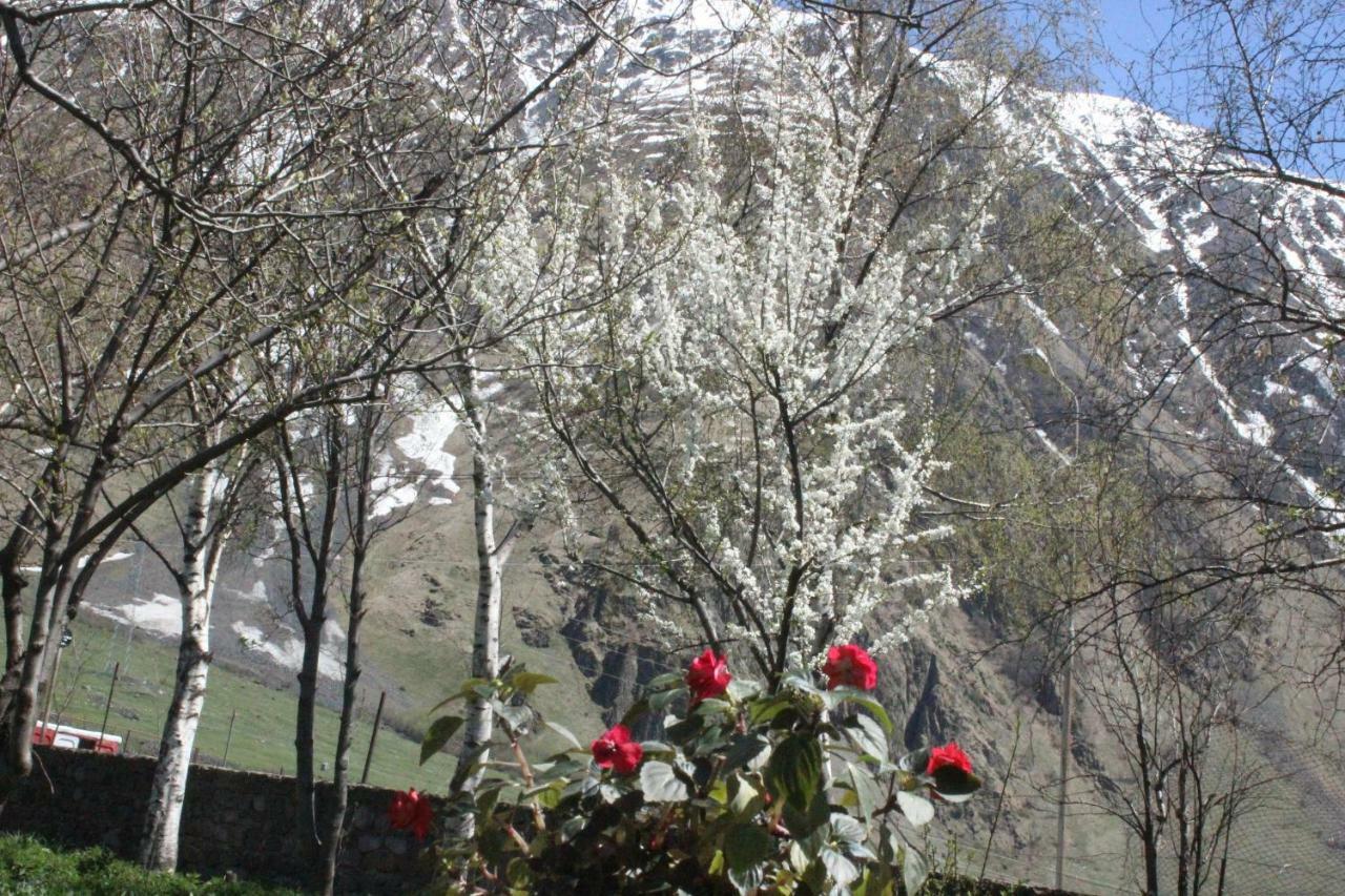 Gio-Nika Hotell Kazbegi Exteriör bild